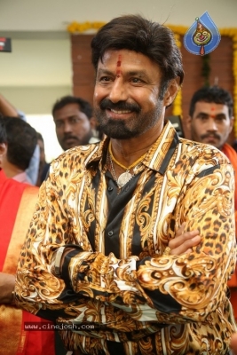 Balakrishna New Movie Opening - 35 of 53