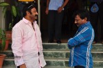 Balakrishna Watches Dikkulu Choodaku Ramayya Movie - 1 of 11