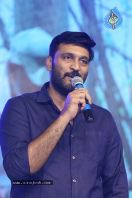 Balakrishnudu Movie Audio Launch 2 - 4 of 34