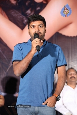 Balakrishnudu Pre Release Event Photos - 16 of 20