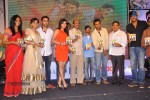 Bangaru Kodipetta Audio Launch 02 - 50 of 168