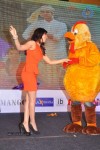 Bangaru Kodipetta Audio Launch 02 - 59 of 168