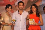 Bangaru Kodipetta Audio Launch 02 - 165 of 168