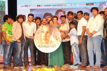 Banthi Poola Janaki Audio Launch 2 - 22 of 42