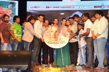 Banthi Poola Janaki Audio Launch 2 - 39 of 42