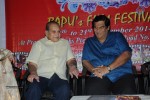 Bapu's Film Festival 2014 Press Meet - 20 of 122