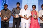 Beeruva Movie Audio Launch 02 - 19 of 229