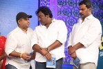 Beeruva Movie Audio Launch 02 - 227 of 229