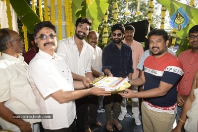 Bellamkonda Sai Srinivas Ratsasan Remake Opening - 23 of 41
