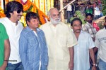 Bengal Tiger Movie Opening 02 - 2 of 38