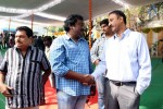 Bengal Tiger Movie Opening 02 - 15 of 38