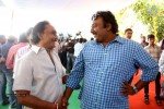 Bengal Tiger Movie Opening 02 - 16 of 38