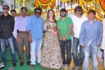 Bengal Tiger Movie Opening 02 - 18 of 38
