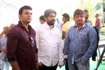 Bengal Tiger Movie Opening 02 - 19 of 38