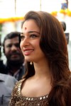 Bengal Tiger Movie Opening 02 - 22 of 38