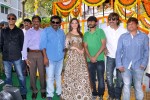 Bengal Tiger Movie Opening 02 - 23 of 38