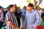 Bengal Tiger Movie Opening 02 - 26 of 38