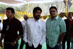 Bengal Tiger Movie Opening 02 - 27 of 38