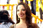 Bengal Tiger Movie Opening 02 - 30 of 38