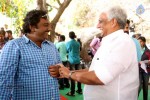 Bengal Tiger Movie Opening 02 - 31 of 38