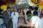 Bengal Tiger Movie Opening - 107 of 119