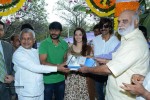 Bengal Tiger Movie Opening - 110 of 119