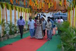 Bengal Tiger Movie Opening - 114 of 119