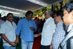 Bengal Tiger Movie Opening - 117 of 119
