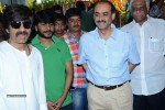 Bengal Tiger Movie Opening - 119 of 119