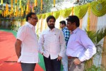 Bengal Tiger Movie Opening - 126 of 119