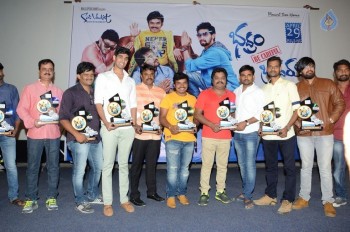 Bhadram Be Careful Brother Platinum Disc Function - 11 of 21