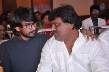 Bhadram Be Careful Brotheruu Audio Launch - 50 of 82