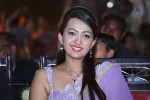 Bheemavaram Bullodu Platinum Disc Function - 42 of 210
