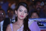 Bheemavaram Bullodu Platinum Disc Function - 95 of 210