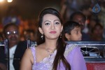 Bheemavaram Bullodu Platinum Disc Function - 165 of 210