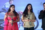 Bheemavaram Bullodu Platinum Disc Function - 181 of 210