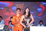 Bheemavaram Bullodu Platinum Disc Function - 196 of 210