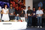 Bheemili Movie Audio Function photos - 35 of 78