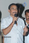 Bheemili Movie Platinum Disk Function - 20 of 28