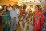 Bhuma Nagi Reddy Daughter Marriage Photos - 32 of 48