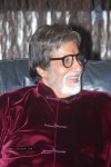 BIG B at Puri Jagannath Office - 63 of 69