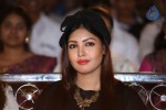 Billa Ranga Audio Launch - 39 of 272