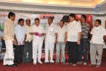 Binami Velakotlu Movie Audio Launch - 24 of 28