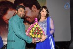 Biryani Movie Audio Launch - 146 of 152