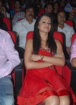 Bodyguard Movie Audio Launch (Set 1) - 139 of 147