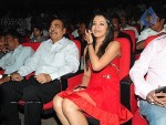 Bodyguard Movie Audio Launch (Set 2) - 163 of 212