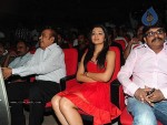 Bodyguard Movie Audio Launch (Set 2) - 164 of 212