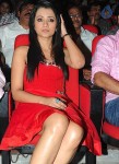 Bodyguard Movie Audio Launch (Set 2) - 174 of 212