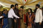 Brahmanandam Son Wedding Stills - 7 of 30