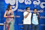 Brindavanam Movie Audio Launch Photos  - 159 of 175